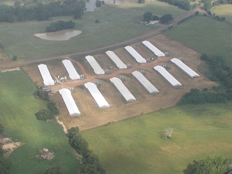 12 House Working Poultry Farm East, Farm for Sale in Texas, 178074