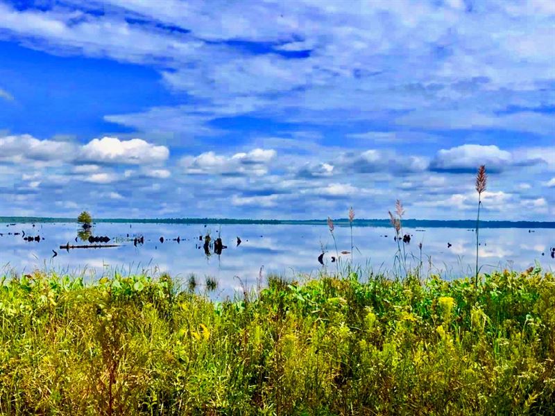 Hyde County, Nc Hunting Property, Farm for Sale in North Carolina, 178086 FARMFLIP