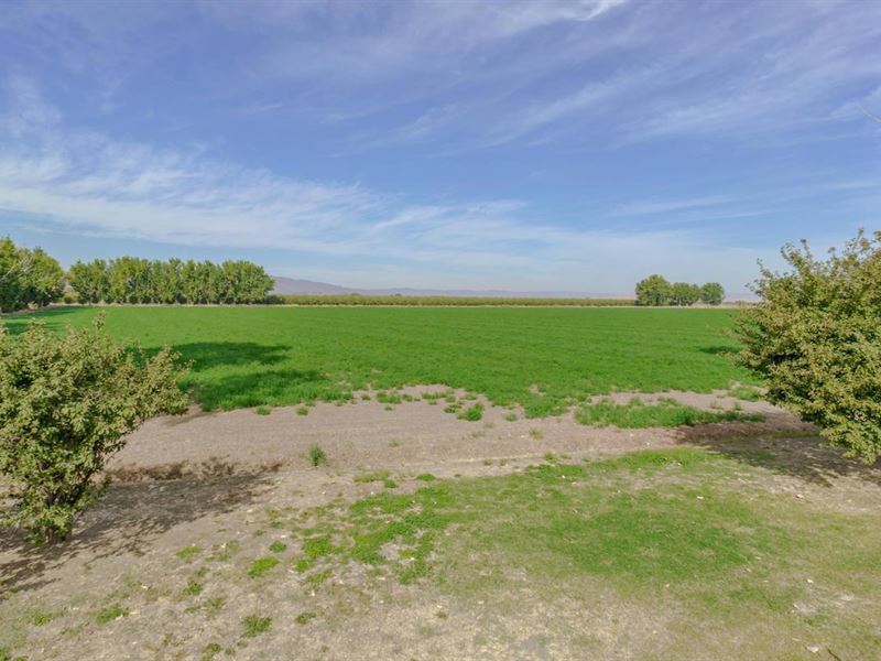 Yolo County Farm Land for Sale : Winters : Yolo County : California