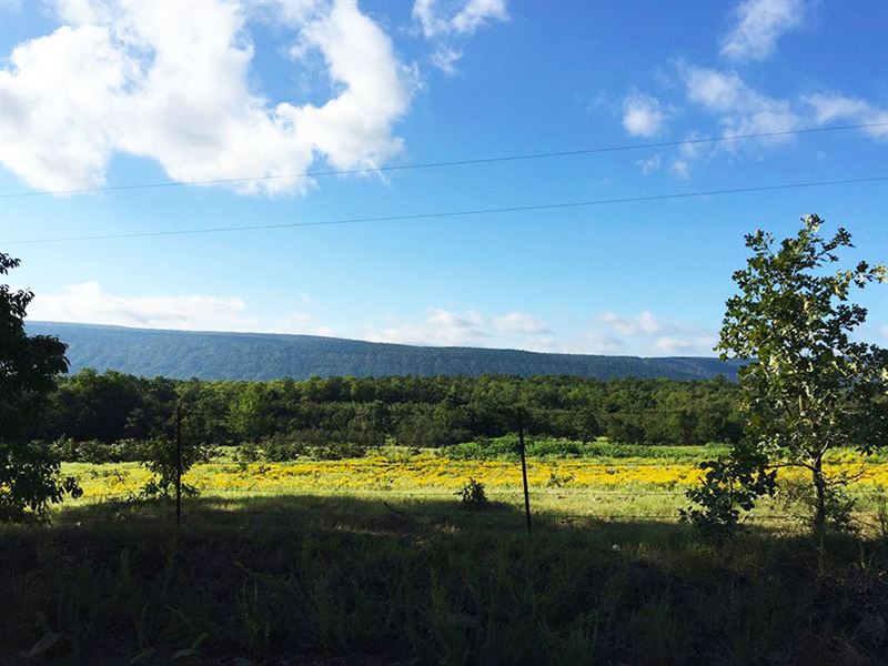 Kiamichi Mountain Property Farm for Sale in Kiamichi, Pushmataha