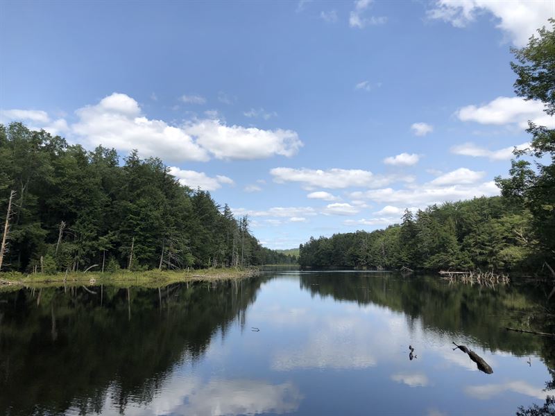 On Maple Lake : Ohio : New York County : New York