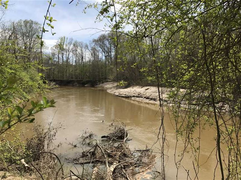 239 Acres on The Sucarnoonuchee RI : Livingston : Sumter County : Alabama