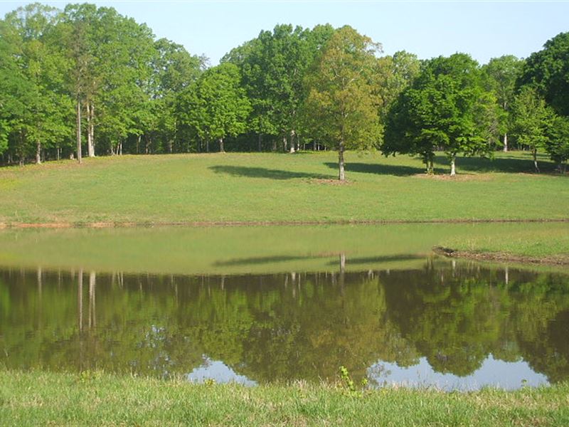 Spring Creek Lake : Keysville : Charlotte County : Virginia