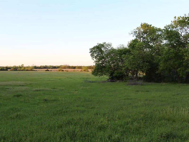Ranch Recreational Land Lamar Farm for Sale in Petty, Lamar County