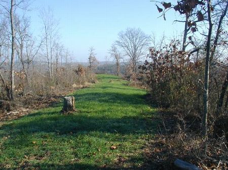 79 Ac. Hilltop Tract in Moundville : Moundville : Hale County : Alabama