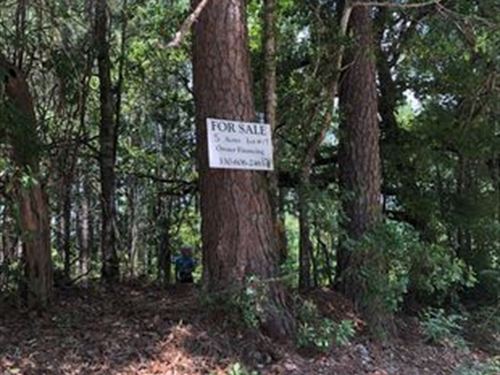 5 Wooded Acres : Saint Matthews : Calhoun County : South Carolina