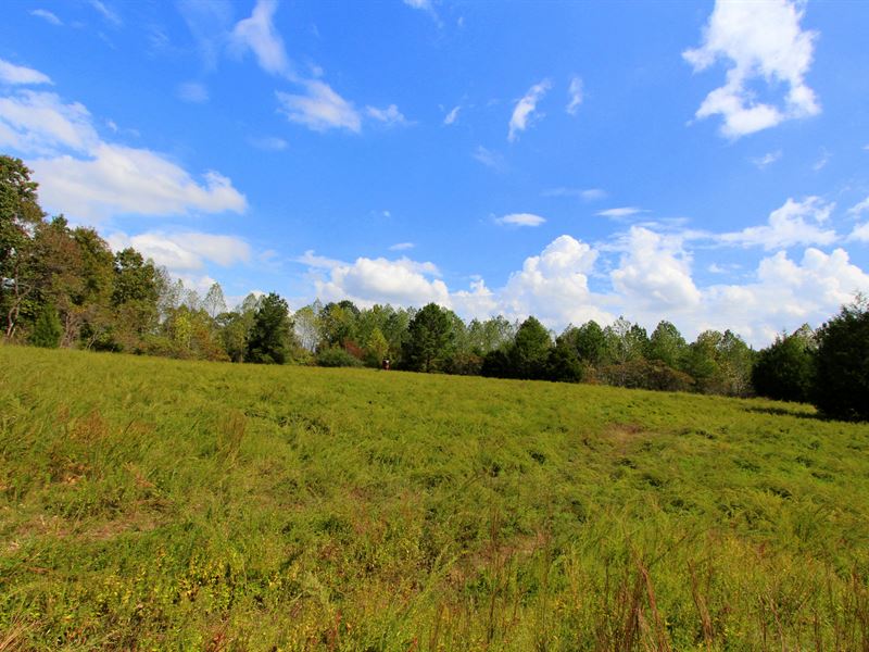 958 Wooded Acres : Centerville : Hickman County : Tennessee