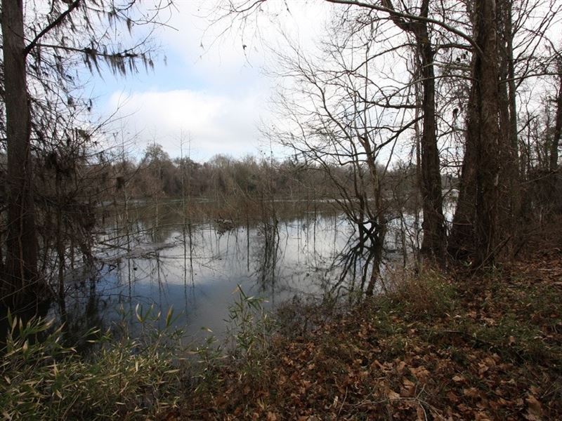 Eatmon Tract : Saint Stephen : Berkeley County : South Carolina