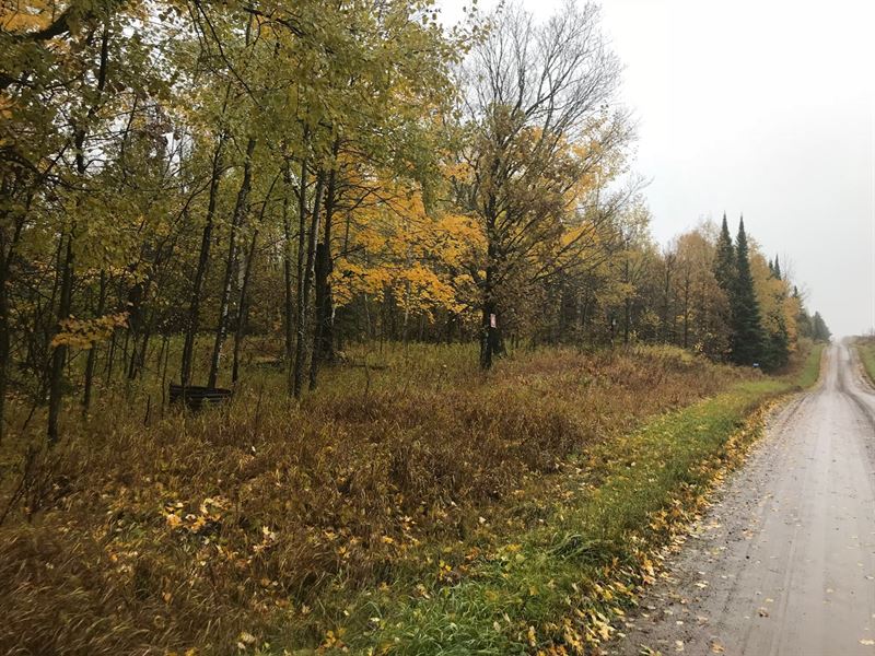 Hunting Land Northern Mn, Kettle, Farm for Sale in Minnesota, 179096