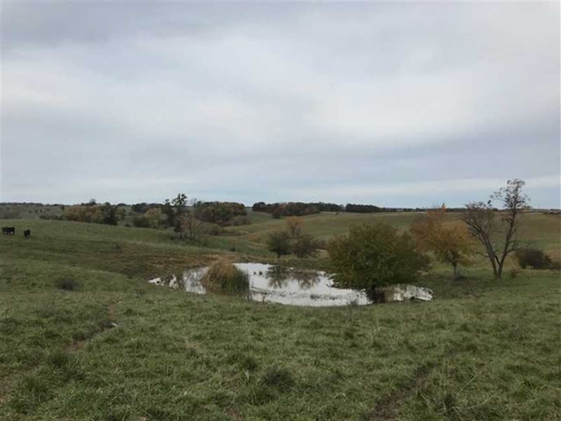 149 Acre Pasture Farm in Adair Cou, Farm for Sale in Missouri, 179252