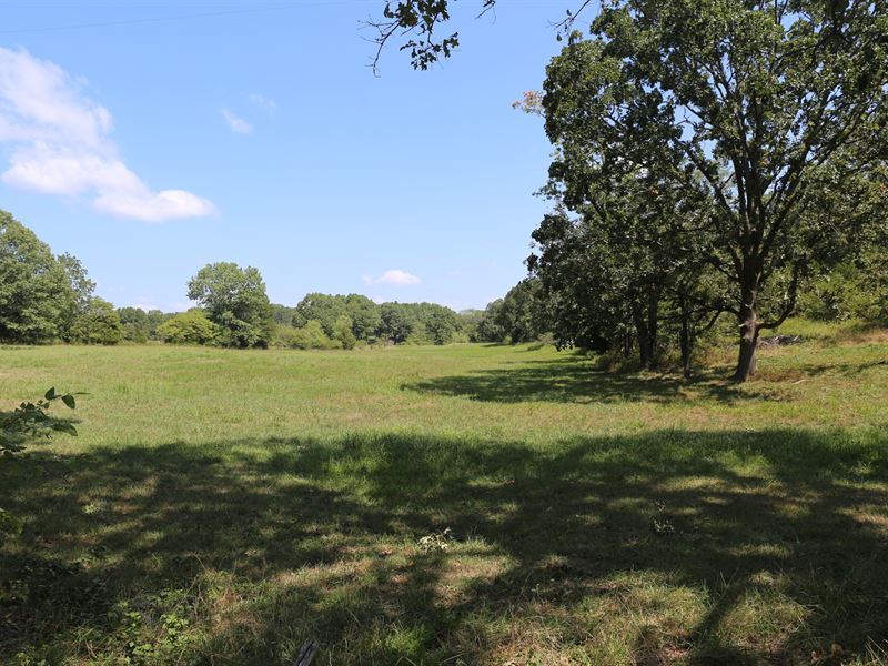 West Plains, Missouri Residential, Farm for Sale in Missouri, 179324