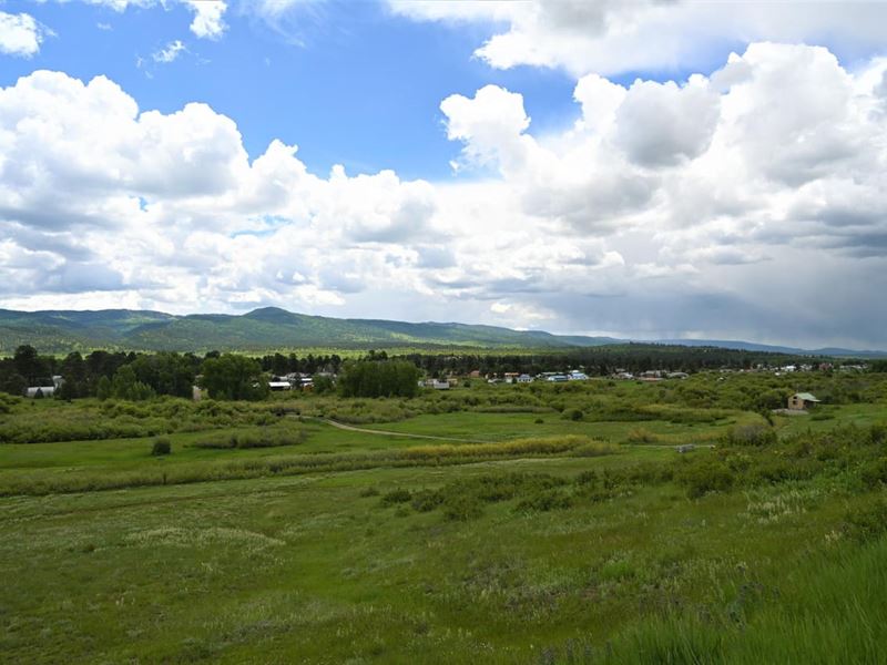 Rio Chamita Estates 5, Farm for Sale in New Mexico, 179597 FARMFLIP