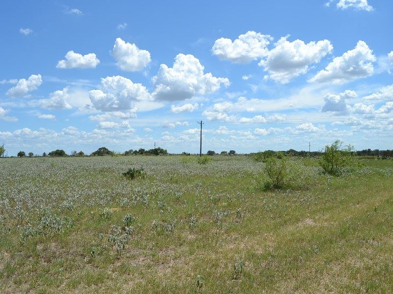 13 Acres South San Antonio, Tx, No : Poteet : Atascosa County : Texas