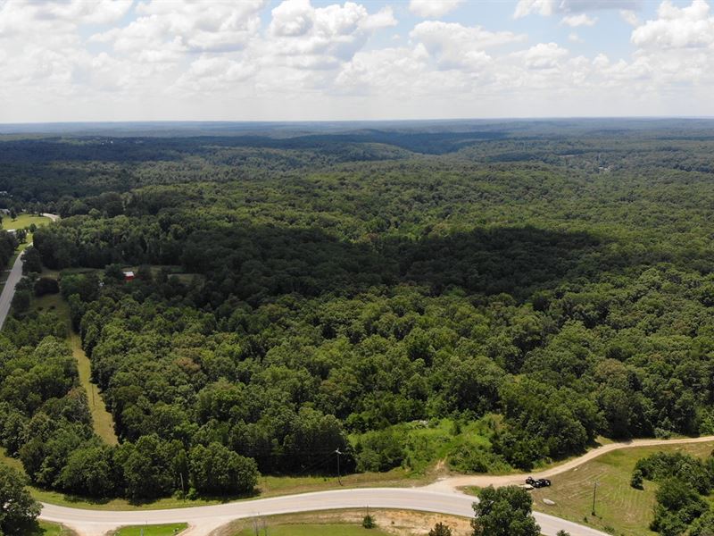 Recreational Land Bollinger County, Farm for Sale in Missouri, 179925