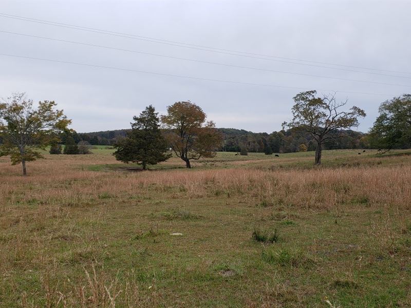 15.3 Acre Farm in Eubank Kentucky, Farm for Sale in Kentucky, 179948