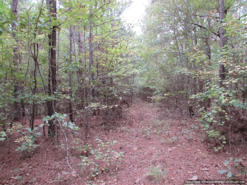 Small Hunting Tract : Pickens : Madison County : Mississippi