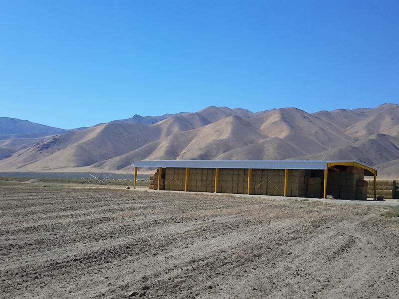 Alfalfa Farm for Sale, Farm for Sale by Owner in Nevada, 180365 FARMFLIP