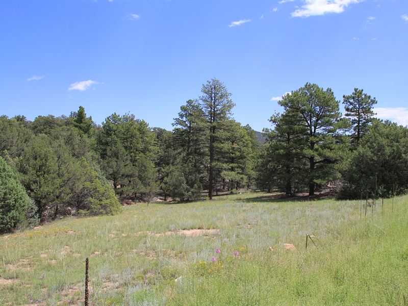 Land in Cotopaxi Colorado, Farm for Sale in Colorado, 180410 FARMFLIP