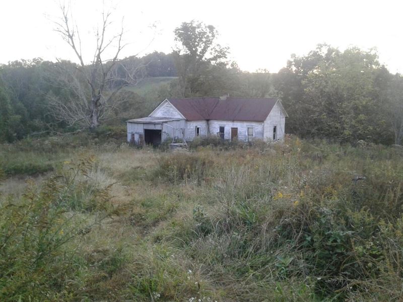 Old Horse Farm Home Site 30 Acres Farm For Sale In Gandeeville Roane County West Virginia 180437 Farmflip