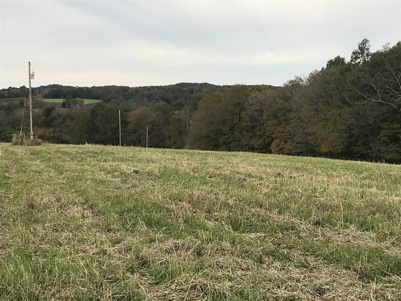 Vacant Land, Metcalfe County, Farm for Sale in Kentucky, 180452 FARMFLIP