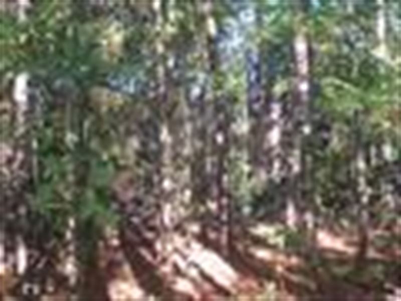Just The Right Size Tract for Home : Molena : Pike County : Georgia