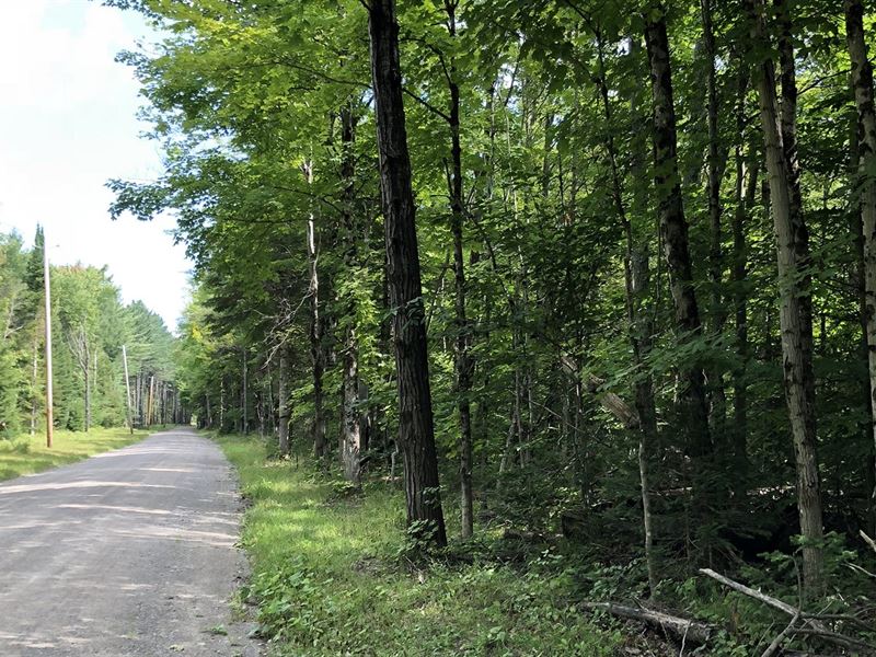 Southern Adirondack Forestlands : Russia : Herkimer County : New York