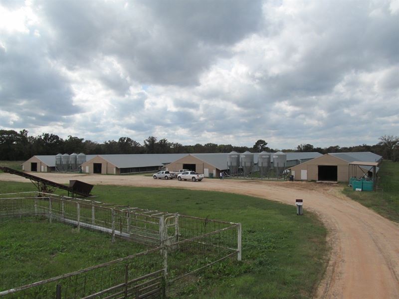 Poultry Farm Pickton Texas East, Farm for Sale in Texas, 180574 FARMFLIP