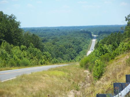 345 +- Acres Flint River Basin : Marshallville : Macon County : Georgia