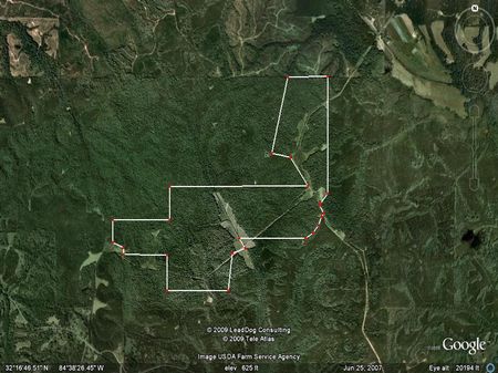 725 Acres $1395/acre : Buena Vista : Marion County : Georgia