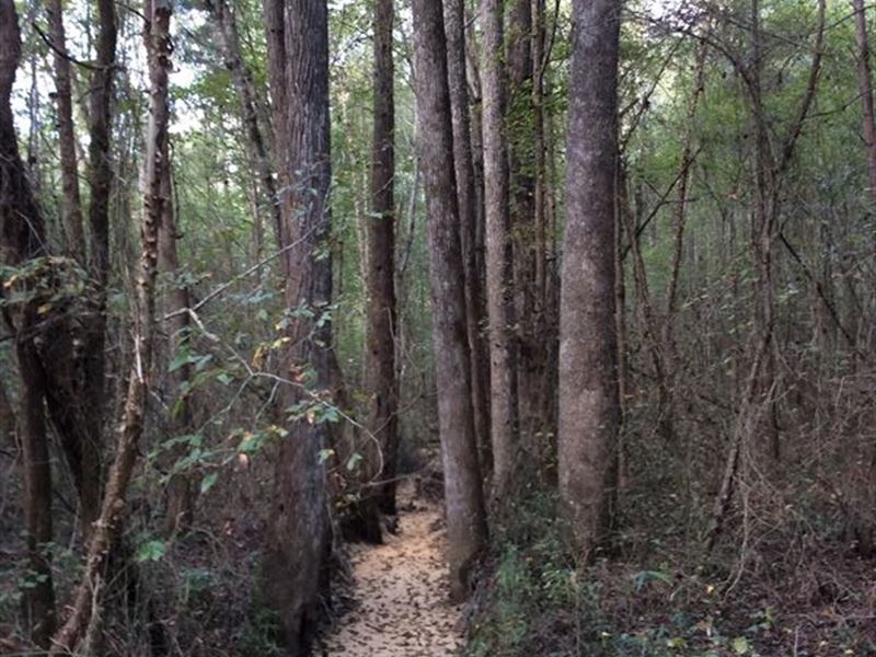 Keeton Tract : Baldwyn : Prentiss County : Mississippi