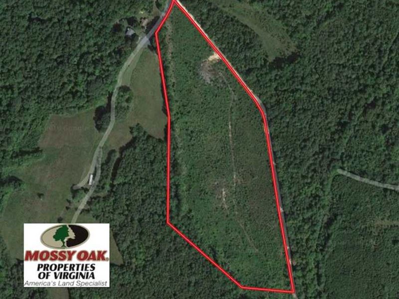 Reduced, 20 Acres of Hunting Land : Pamplin : Prince Edward County : Virginia
