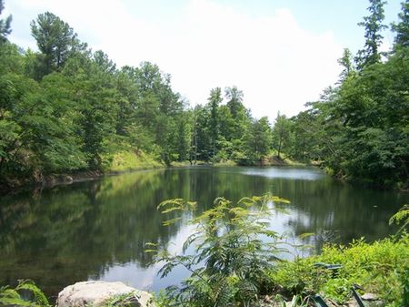Wolf Creek Farm : Berry : Fayette County : Alabama