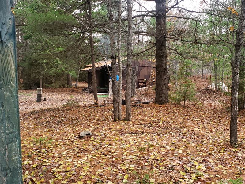 Perfect Your Hunt in Michigan, Farm for Sale in Michigan, 181229 FARMFLIP