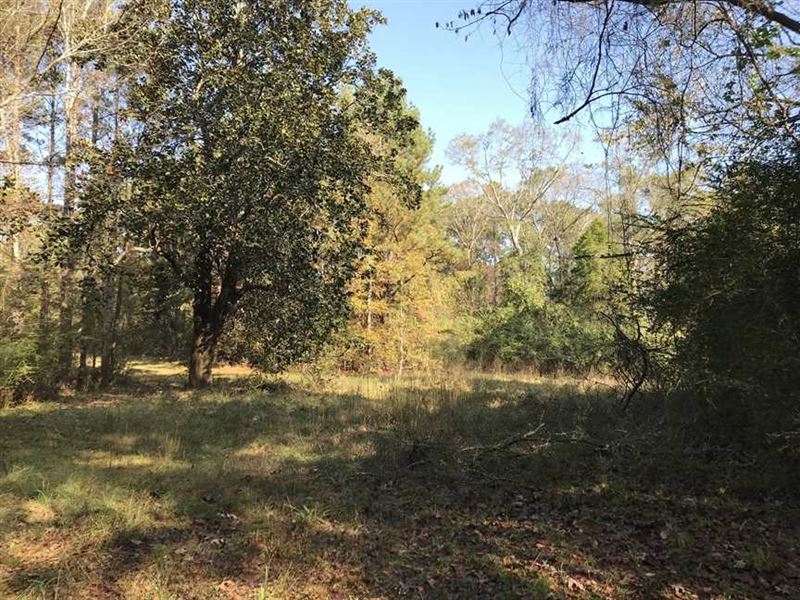 135 Acre Investment, Hunting And : Meridian : Lauderdale County : Mississippi