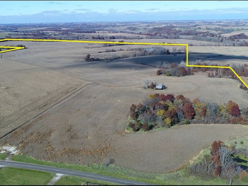 Missouri Farm, Scotland Co Row Crop, Farm for Sale in Missouri, 181430