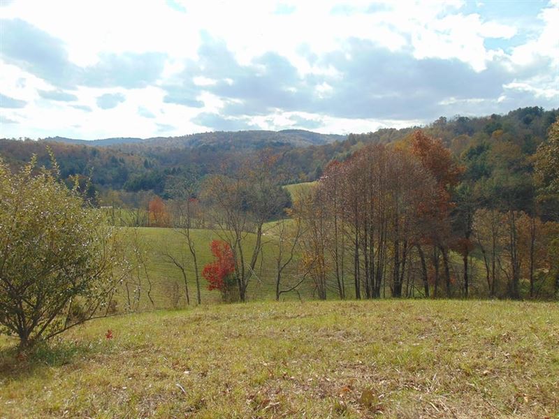 Farm Tract Grayson County, Farm for Sale in Virginia, 181444