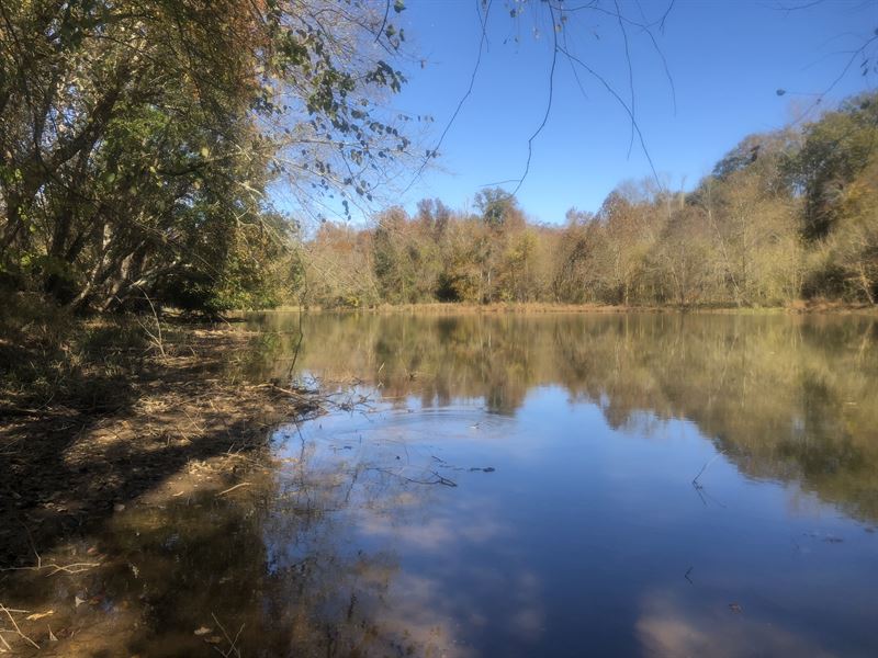 Saluda River Development Tract : Piedmont : Anderson County : South Carolina