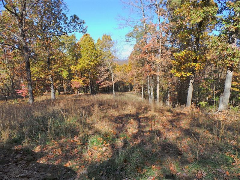 Land for Sale in Flippin Arkansas, Farm for Sale in Arkansas, 181511