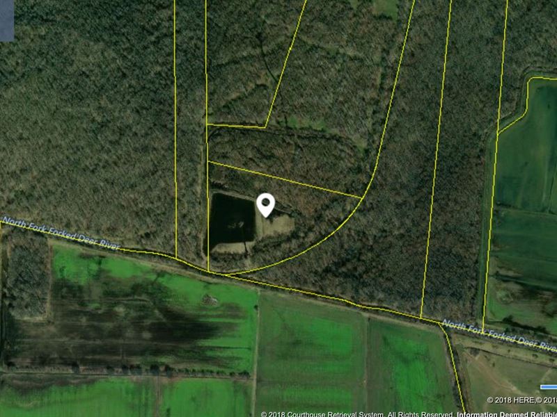Duck/Waterfowl Hunting Property : Dyer : Gibson County : Tennessee