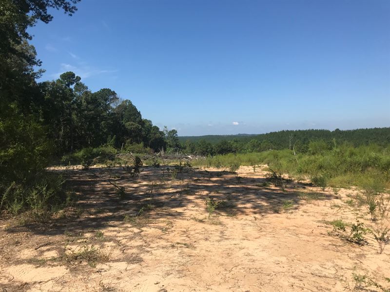 DE Kalb 40, Farm for Sale in Mississippi, 181653 FARMFLIP