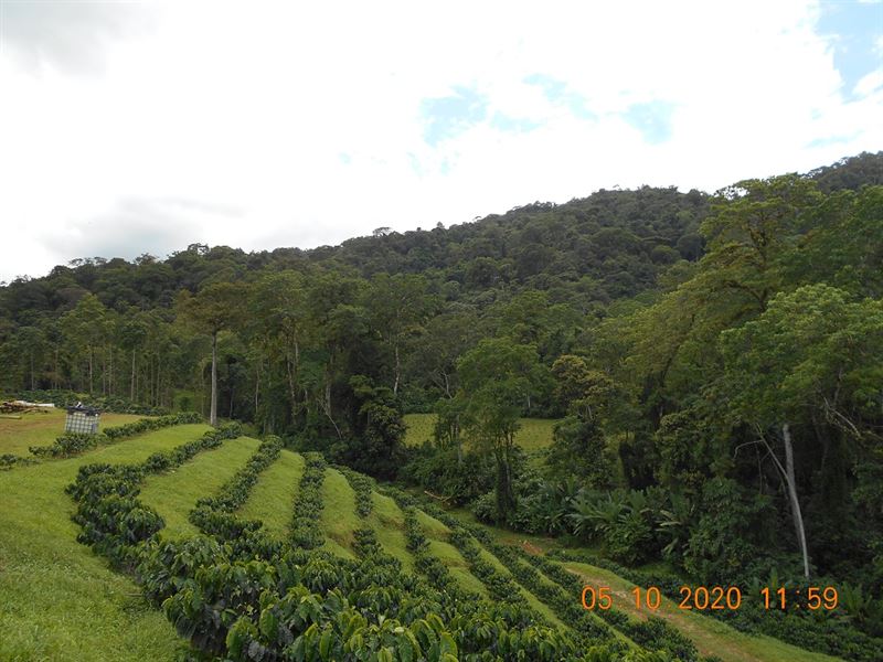 Protect The Environment 909 Acres : Esparanza De Turrialba : Costa Rica