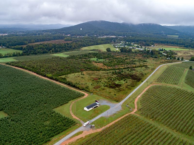 7K Farms High Density Apple Orchard, Farm Auction in Virginia, 181770