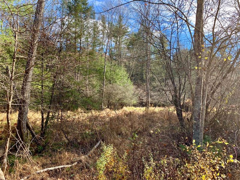 10 +/ Acres Land, Building Lot, Farm for Sale in Pennsylvania, 181775