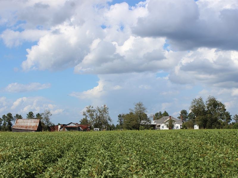 Beautiful Old Farmstead, Mixed Uses, Farm for Sale in 181853