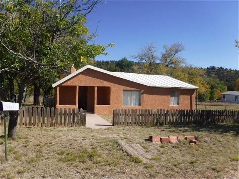 Sw NM Mobile Home Park in Country, Farm for Sale in New Mexico, 181949