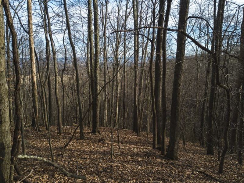 Recreational Land Pearisburg VA, Farm for Sale in Virginia, 181957