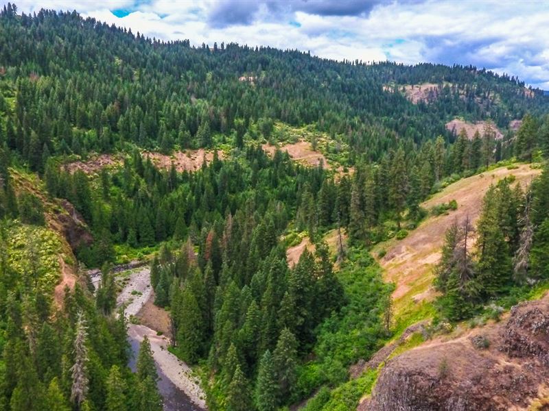 Recreation Property, River Frontage, Farm for Sale in Idaho, 181975 FARMFLIP