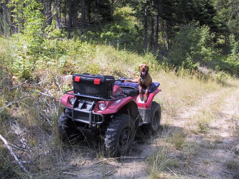 Timberland Property River Frontage, Farm for Sale in Idaho, 181977
