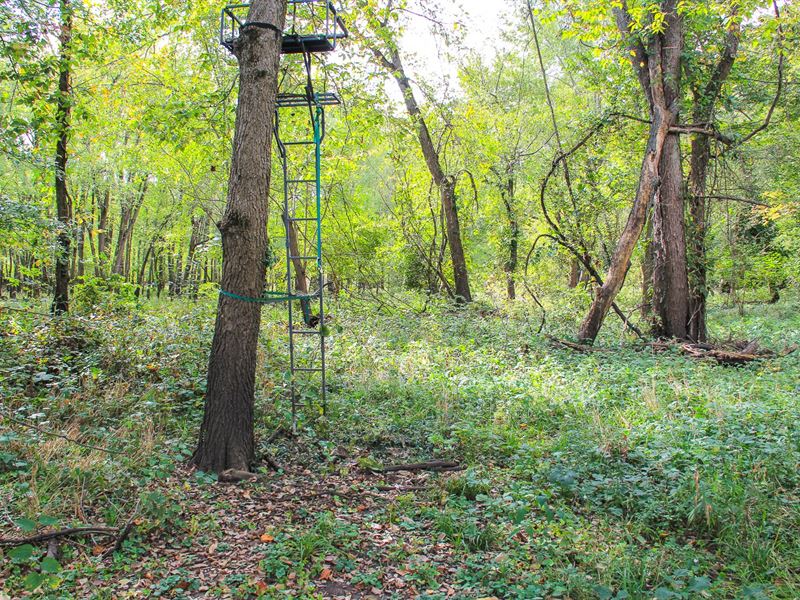 Christian County Hunting Property : Taylorville : Christian County : Illinois