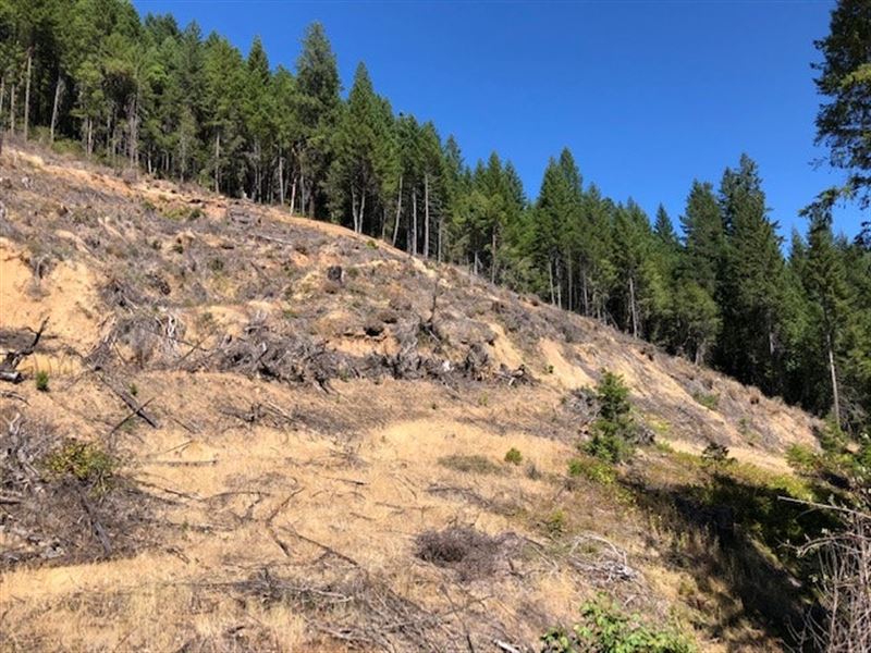 West Fork Cow Creek 40 Farm for Sale in Glendale, Douglas County